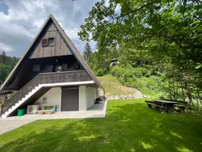 Our Forest House - Image 4