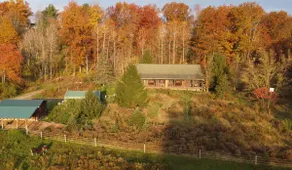 Bluestone Suite @Entangled Acres Nature Sanctuary - Image 5