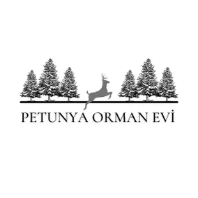 Bolu Petunya Forest House - Wooden villa in the forest - Image 2