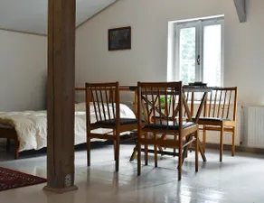 Large attic studio in Nová Perle - Image 4