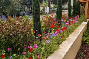 Iris Bagilboa - Image 5