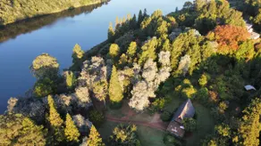 Tranquil Cottage Hideway - Image 4