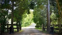 Contemporary Country Experience - Image 2