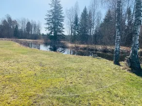 Villa Nõva guest house with sauna and hot tub - Image 5