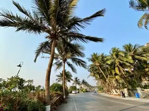 *Quiet and Cozy* 1 BHK * Bandra Ocean Side *WIFI* - Image 4