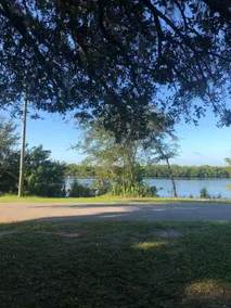 Little Manatee River Cottage - Image 5