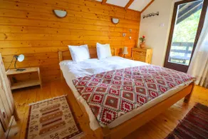 Mountain Family Chalet on Prahova Valley - 1000 sqm private yard - Image 3