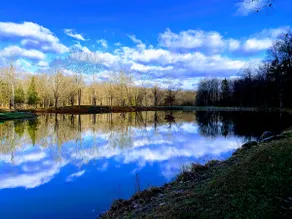 Ridgetop 2 Br Cabin- Views, 130acre forest & falls - Image 2