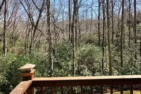 Bear Paw Cabin - Image 4