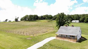 Relaxing Vineyard Cottage on a Peaceful Farm - Image 4