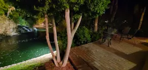Island Breeze Oasis - Image 5