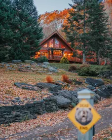 Dino's Black Bear Cabin - Image 4