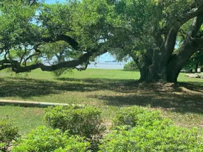 Majestic Oaks Beach Retreat - Image 4