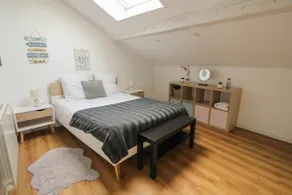 (B5) Charming 2-room apartment under the rooftops - Downtown - Image 3