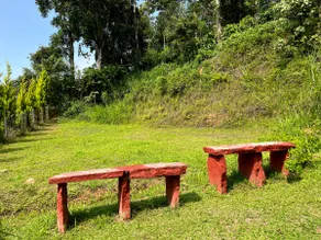 B.B. Estate Heritage Home, Coorg, Ancestral House - Image 4
