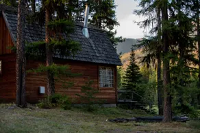 ”Elk's Run” cozy cabin nestled in the pines - Image 4