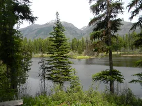 ”Elk's Run” cozy cabin nestled in the pines - Image 3