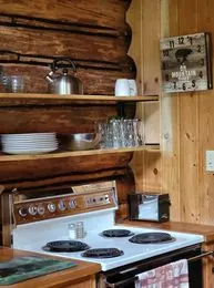 ”Bears Den” cozy cabin nestled in the pines. - Image 4