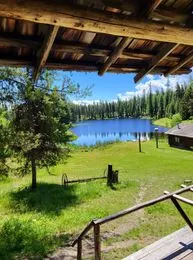”Bears Den” cozy cabin nestled in the pines. - Image 3