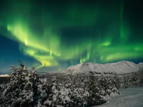 5 min walk to Flattop Trailhead! Aurora! Sauna! - Image 5