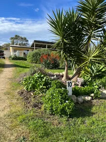 Relax at The Deck, Baudin Beach - Image 3