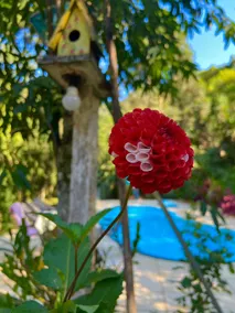 A Cottage to relax and enjoy nature! - Image 2