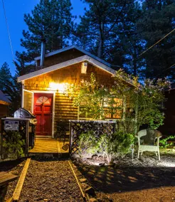 Family Mountain Cabin-Dogs Welcome-Grill-Pines - Image 2