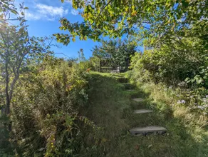 Maine Getaway - Image 5