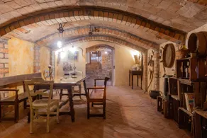 ”La Gatera” country house among vineyards - Image 4