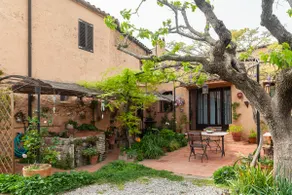 ”La Gatera” country house among vineyards - Image 5