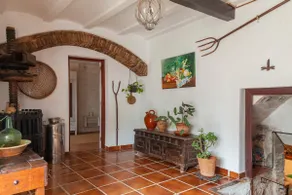 ”La Gatera” country house among vineyards - Image 2