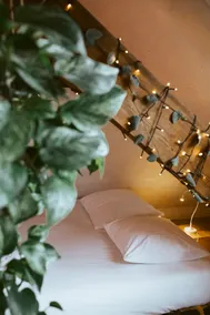 The Green Attic Ghent - Image 3