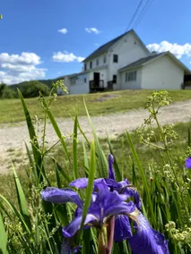 Apple Farm House - Image 2