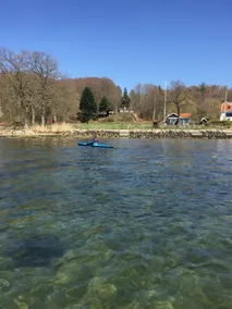 Vejle Fjord panoramic view and forest tranquillity - Image 5
