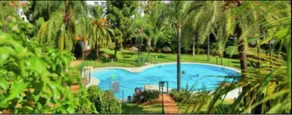 Frontline sea in the center of Puerto Banus.2bedrooms -Garden - Image 2