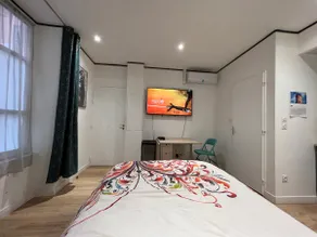 Air-conditioned studio 200 m from metro D Vaise station - Image 4