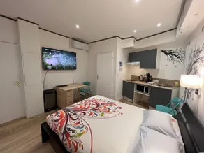 Air-conditioned studio 200 m from metro D Vaise station - Image 2