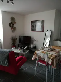 2-room apartment with garden 7 minutes from the center of Foix - Image 2