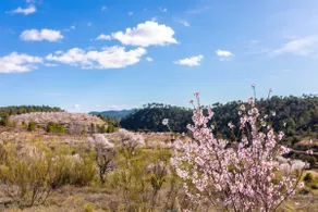 Discover the Sierra del Segura in C. Rural LA VENTA - Image 4