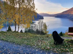 Panoramic apartment in Olden with fjord view (3 rooms) - Image 4