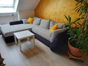 Vacation apartment Schwarzwald-Baar view - Image 3