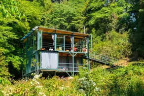 TreeTops. Complete cabin in the woods and river. - Image 2