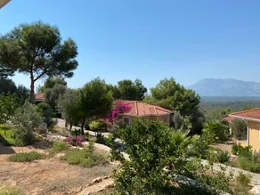 Patara Doga Apart - Image 5