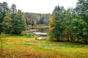 Quiet space near the forest and lake for work and relaxation - Image 4