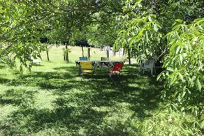 near Arbois & Poligny flat 4 p 120 m2 - Image 3