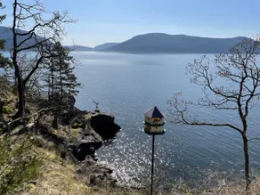 Breathtaking Waterfront Acreage - Image 2