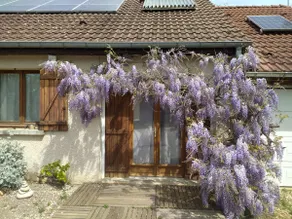 La Gouille, 20 min walk to old Dole, quiet - Image 2