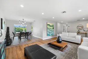 The New Miami Oasis - Image 2