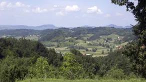 Green Peak - Image 5