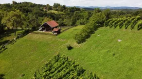 Green Peak - Image 2